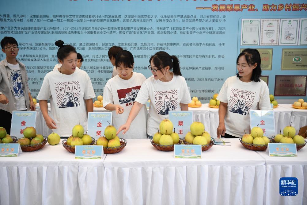 谁有正规棋牌官网
